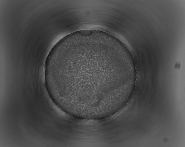 X0000101181079200807181442