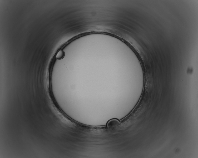 X0000101181080200807181442