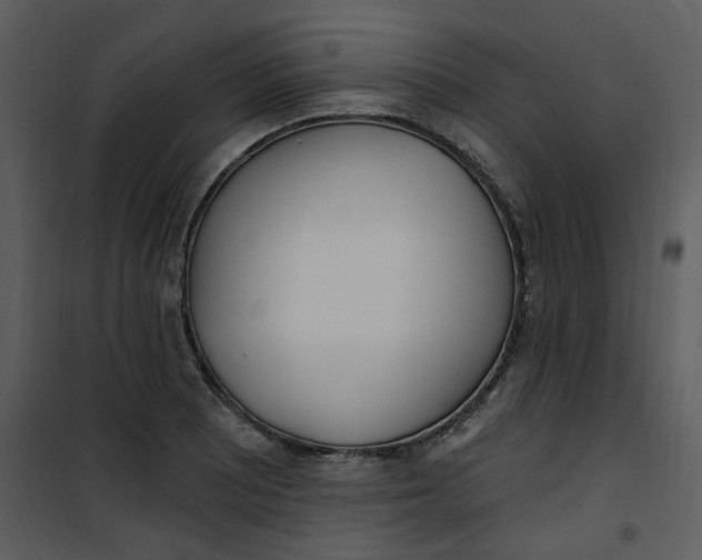 X0000101181081200807181442