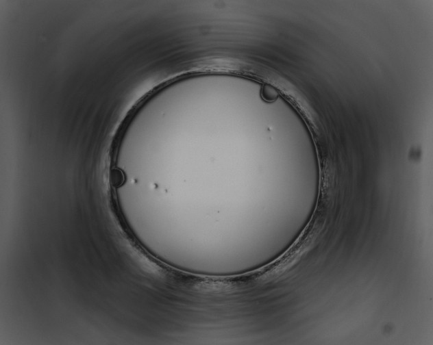 X0000101181083200807181442