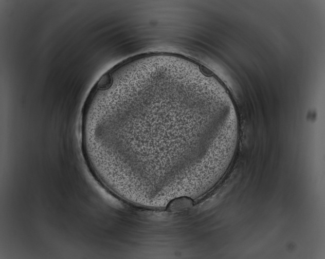 X0000101181084200807181442