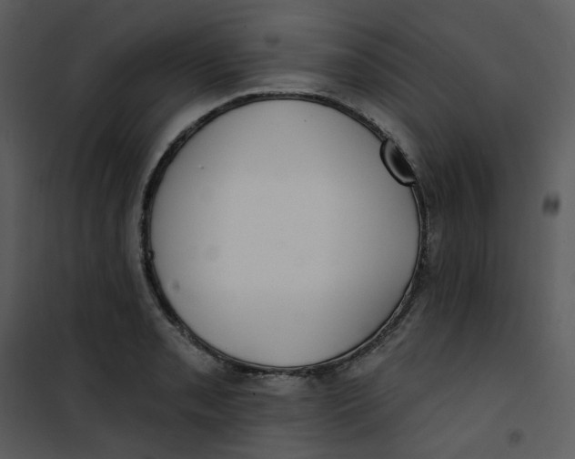 X0000101181085200807181442