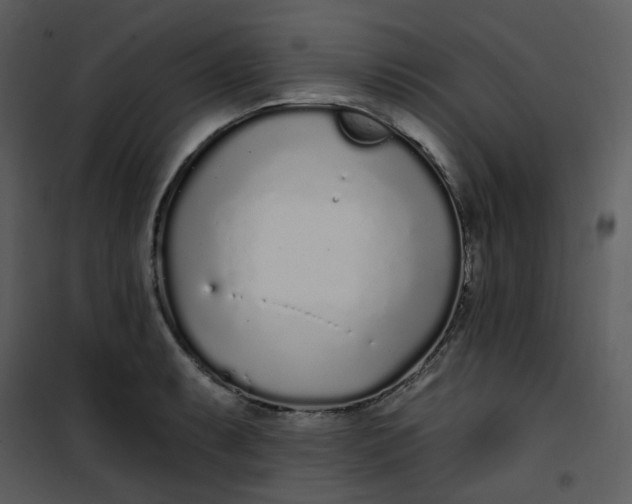 X0000101181087200807181442