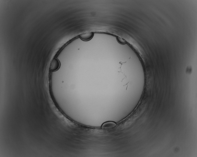 X0000101181088200807181442