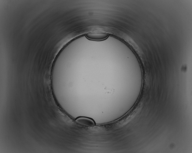 X0000101181089200807181442