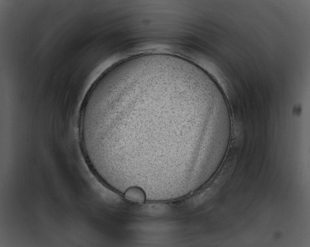 X0000101181090200807181442