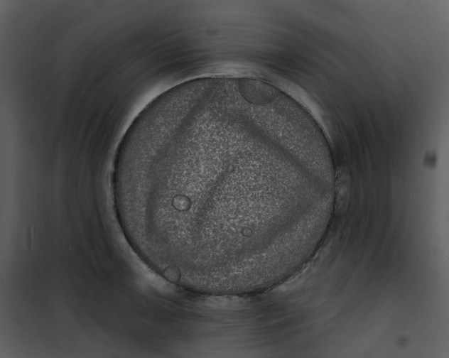 X0000101181091200807181442