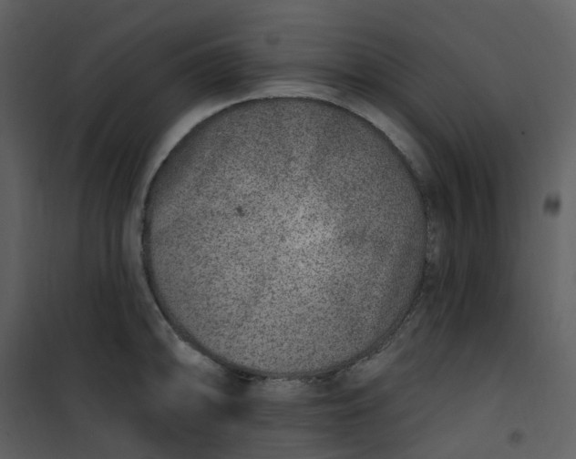 X0000101181094200807181442