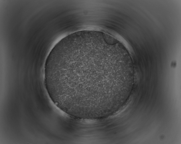 X0000101181095200807181442