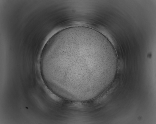 X0000101181098200807181442