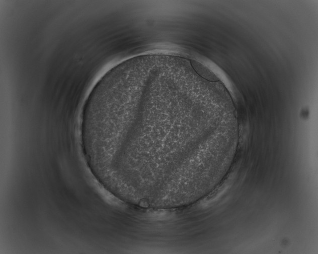 X0000101181099200807181442