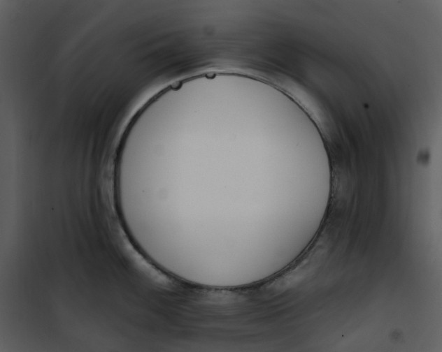 X0000101181100200807181442