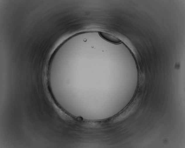 X0000101181101200807181442