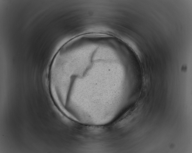 X0000101181103200807181442