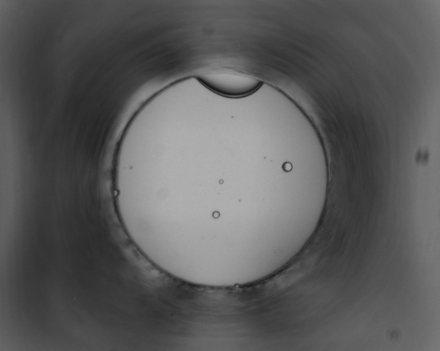 X0000101181104200807181442