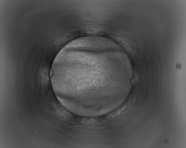 X0000101181106200807181441