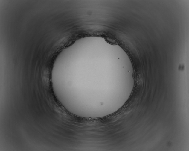 X0000101181108200807181441