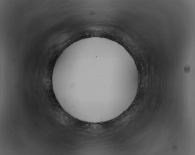 X0000101181109200807181441