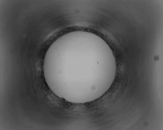 X0000101181110200807181441