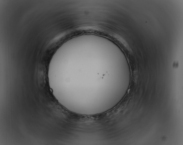 X0000101181111200807181441