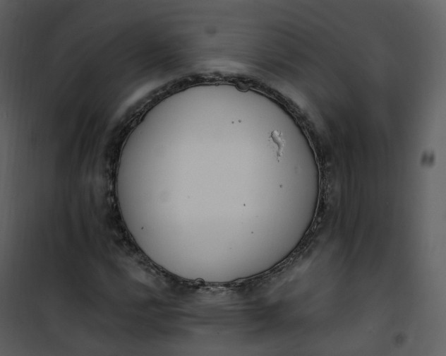 X0000101181112200807181441