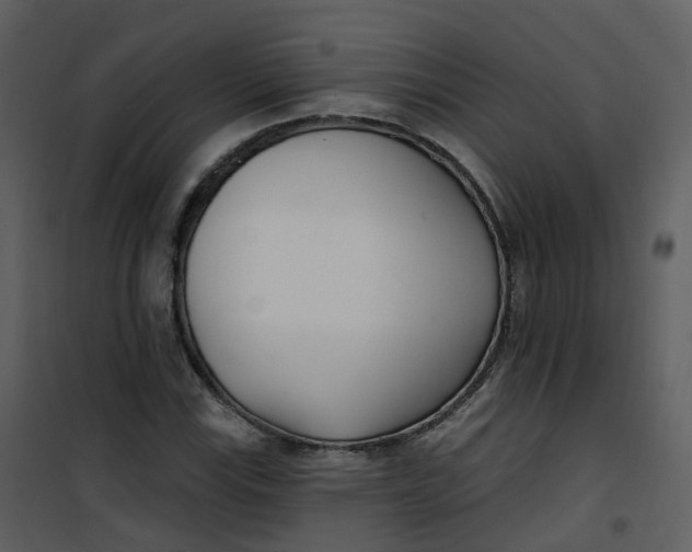 X0000101181115200807181441