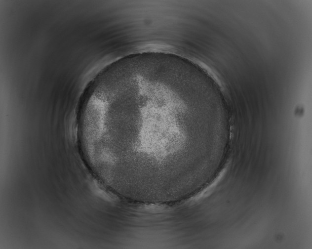 X0000101181117200807181441