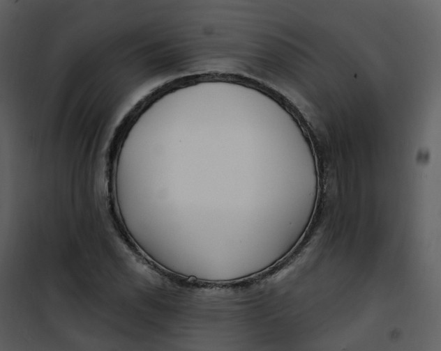 X0000101181118200807181441