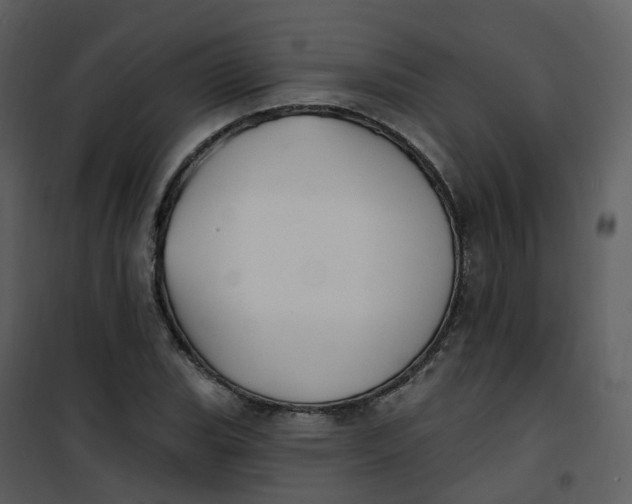 X0000101181119200807181441