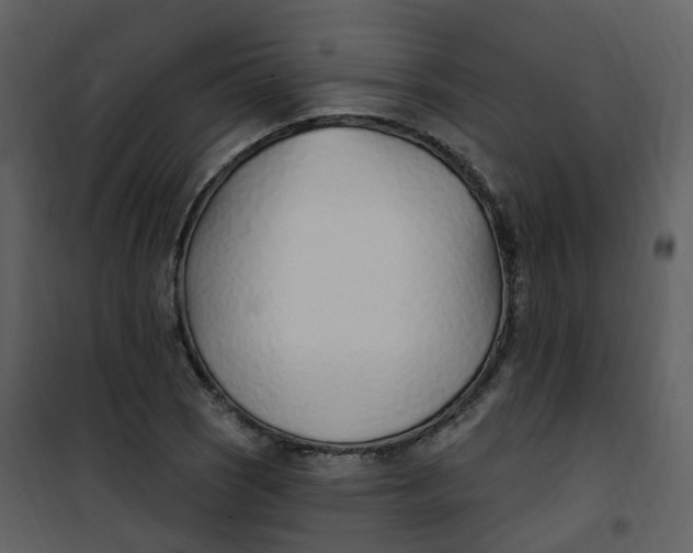 X0000101181121200807181441