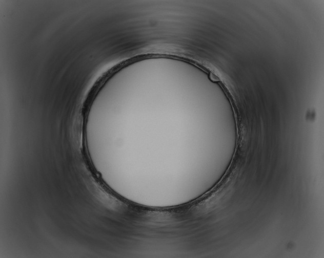 X0000101181123200807181441