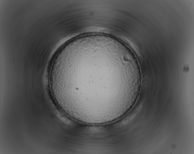 X0000101181125200807181441