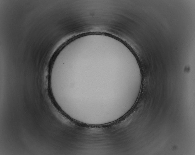 X0000101181126200807181441