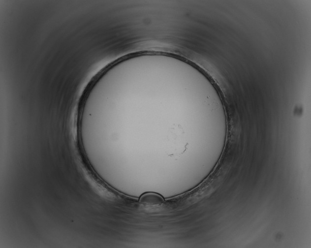 X0000101181128200807181441