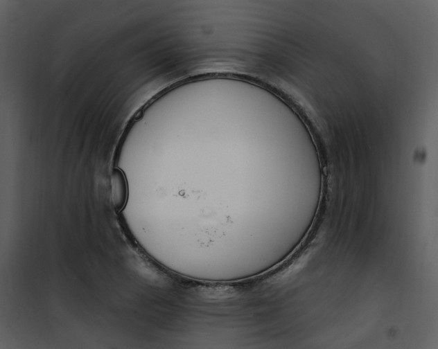 X0000101181129200807181441