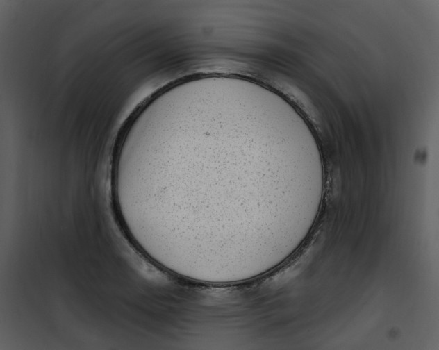 X0000101181130200807181441