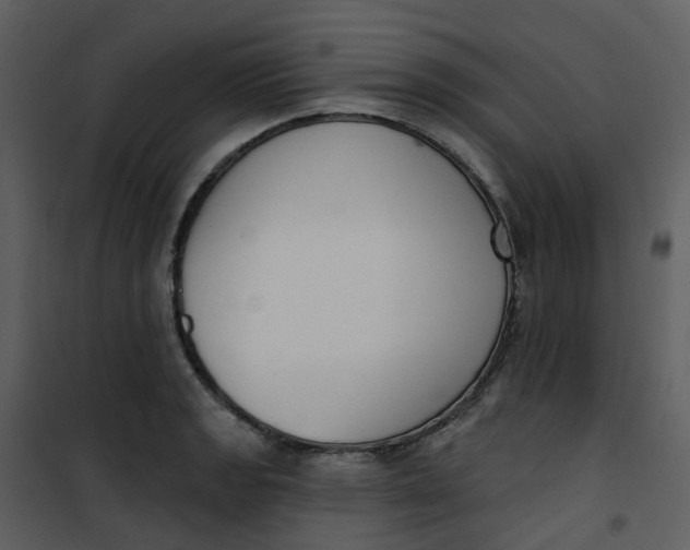 X0000101181133200807181441