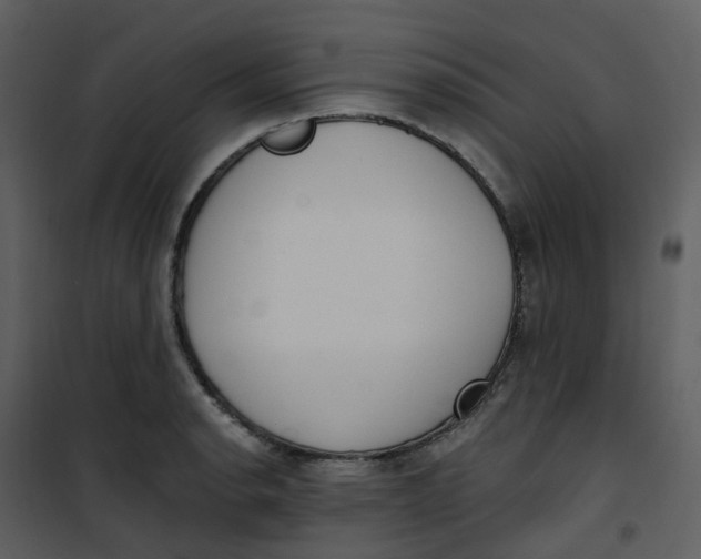 X0000101181134200807181441