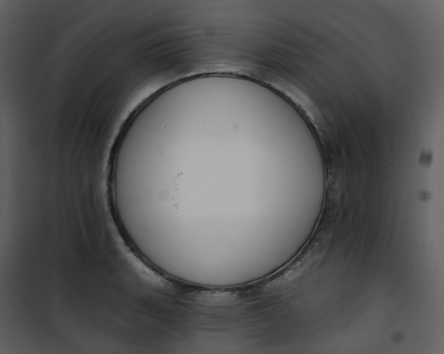 X0000101181135200807181441