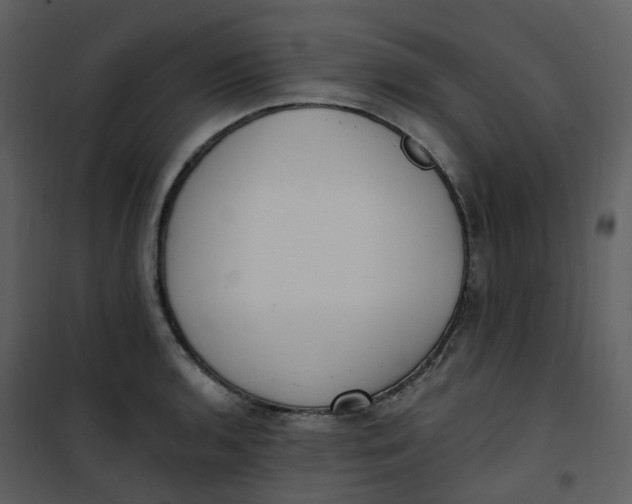 X0000101181136200807181441