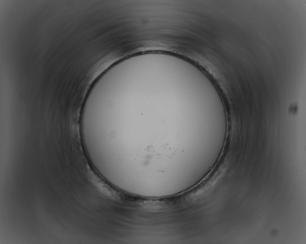 X0000101181137200807181441