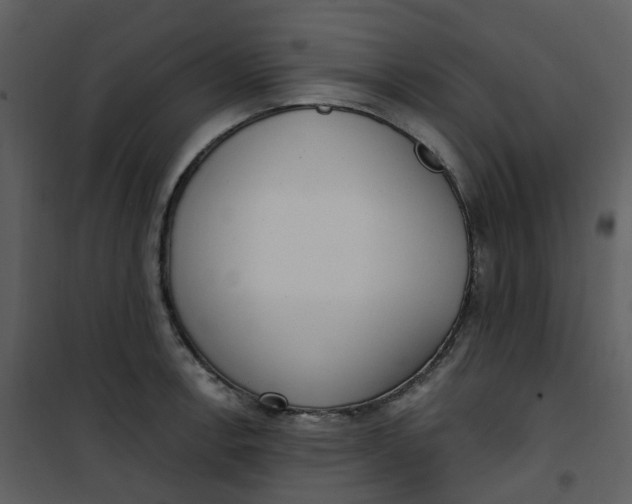 X0000101181138200807181441