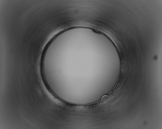 X0000101181139200807181441