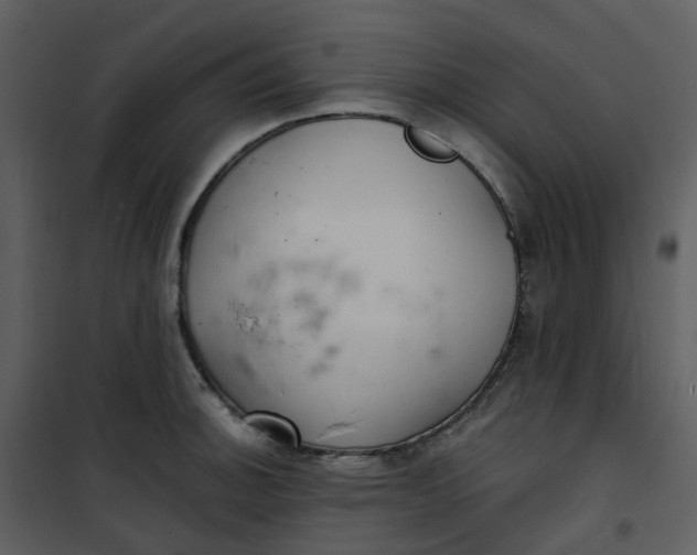 X0000101181140200807181441