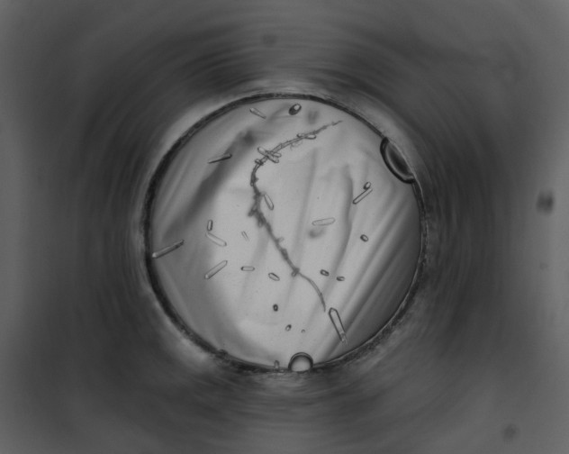 X0000101181141200807181441