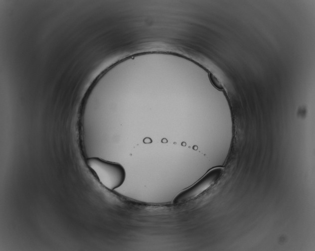 X0000101181142200807181441