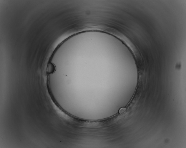 X0000101181143200807181441