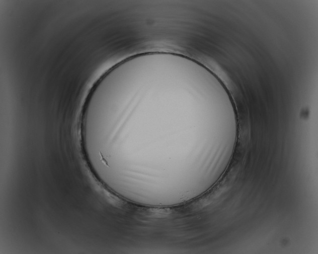 X0000101181144200807181441