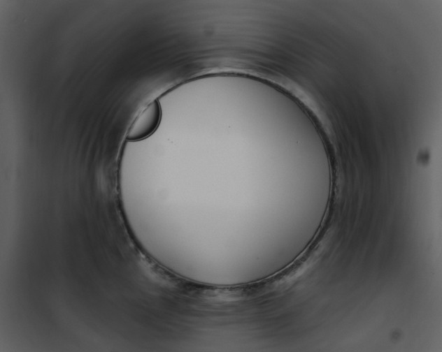 X0000101181145200807181441