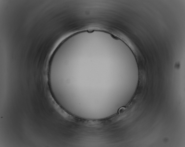 X0000101181148200807181441